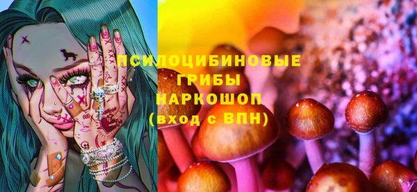марки nbome Белокуриха
