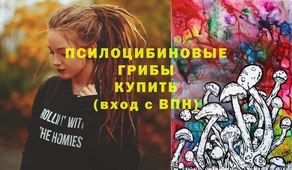 марки nbome Белокуриха